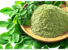 Benefits Of Moringa In Blood Sugar