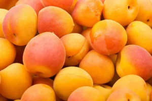 Exploring the Health Benefits of Apricots