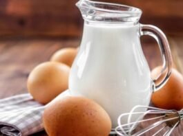 Egg vs Milk: Unraveling the Protein Powerhouse Showdown