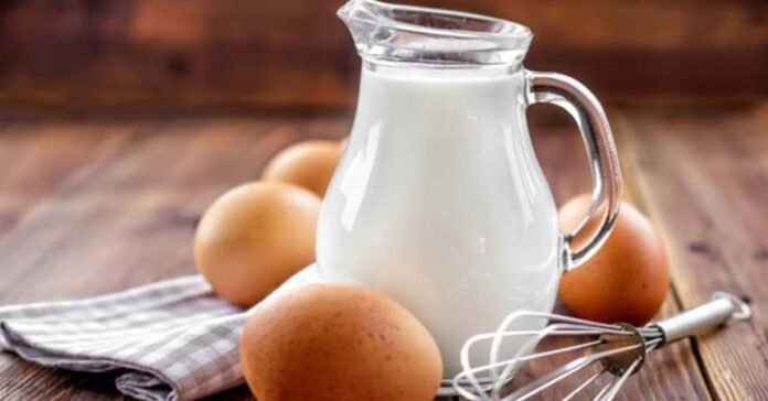 Egg vs Milk: Unraveling the Protein Powerhouse Showdown