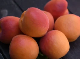 Exploring the Health Benefits of Apricots