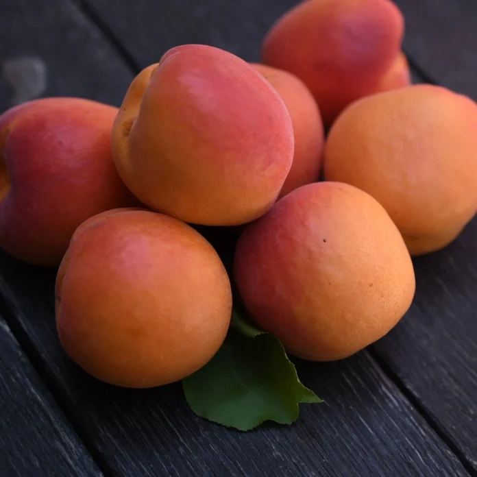 Exploring the Health Benefits of Apricots