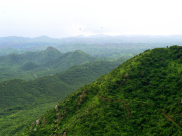 The Haryana government aspires to have the Aravalli Jungle Safari project inaugurated by Prime Minister Narendra Modi