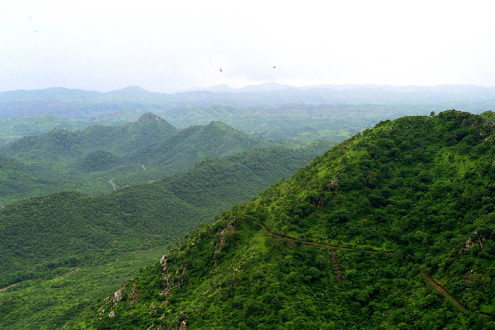 The Haryana government aspires to have the Aravalli Jungle Safari project inaugurated by Prime Minister Narendra Modi